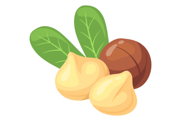 Download Macadamia Nut Cartoon Icon. Healthy Prot - Icon Collection